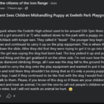 Eveleth Playground Puppy Incident Raises Questions About Kids, Dog Safety and Supervision