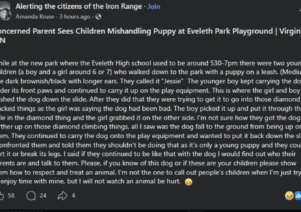 Eveleth Playground Puppy Incident Raises Questions About Kids, Dog Safety and Supervision