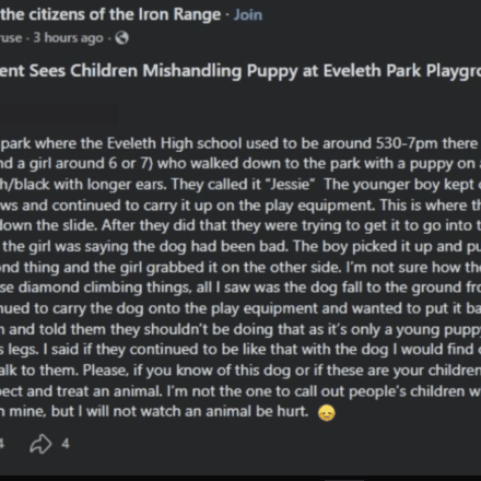 Eveleth Playground Puppy Incident Raises Questions About Kids, Dog Safety and Supervision