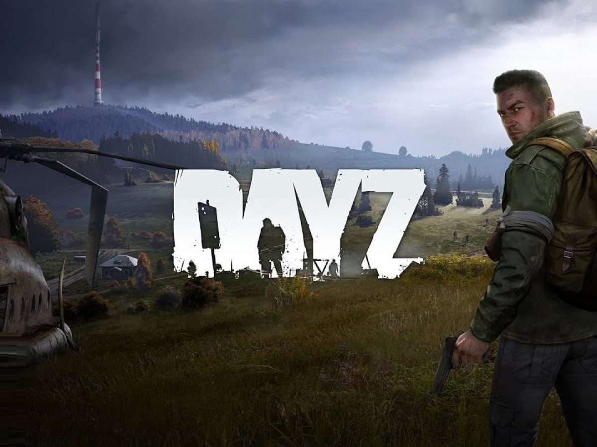 Dayz выдает ошибку steam фото 105