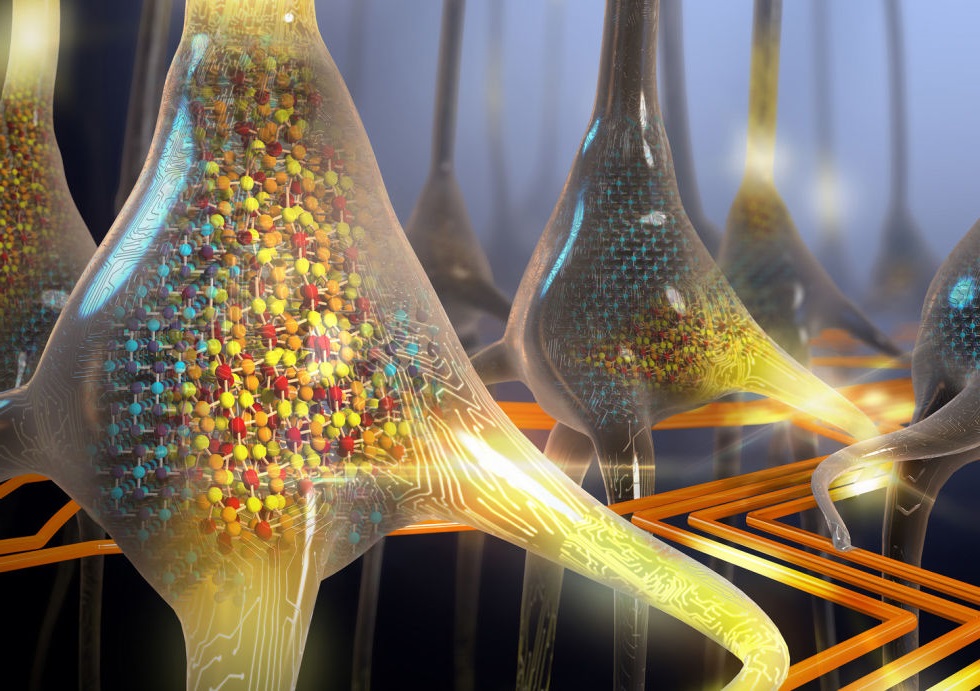 Artificial Neurons