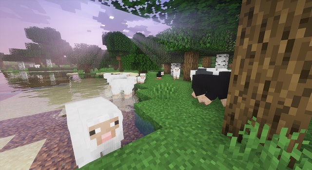 Sheeps in Minecraft